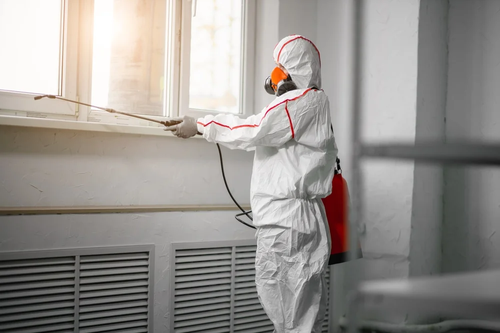 Professional mold remediation services in Chamberlain, ME
